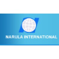 Narula International Logo