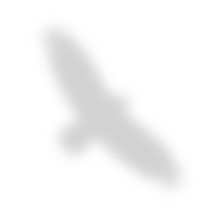 adlerschmidt GmbH Logo