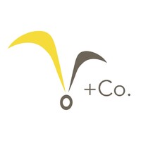 V+Co. Consulting Logo