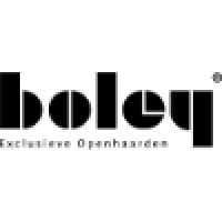 Boley Exclusive Fireplaces. Logo