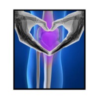 Northeast Knee & Joint Institute Logo