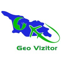 Geo visitor Logo