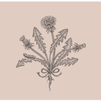 LINNAEAN Logo