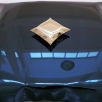 Full Blown Logo