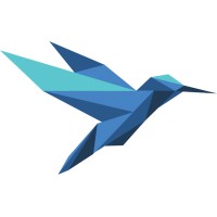 Savvy Blue Logo