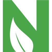 NEMS AS Logo