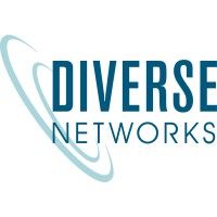 Diverse Networks Logo