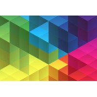 Digital Millennium Forensics Inc. Logo