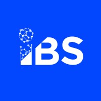 IBS Inc. Logo