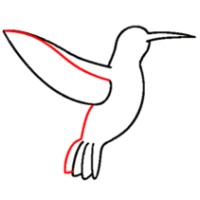 Hummingbird Consulting Logo