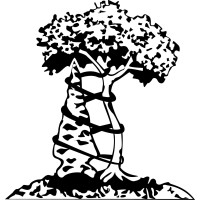 Arrowhead Orthopaedics Logo