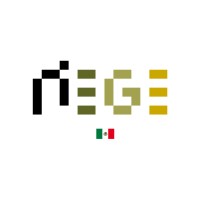 Riege Software México Logo