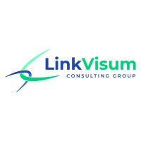 LinkVisum Consulting Group Logo
