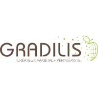 GRADILIS Logo