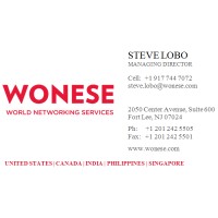 World Networking Services Inc dba WONESE Logo