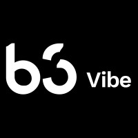 B3 Vibe Logo