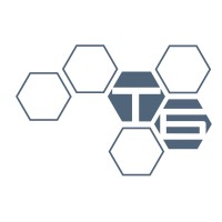 Associazione T.S.E.I. - Tavolo di Studio sulle Esecuzioni Italiane Logo