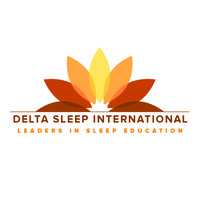 Delta Sleep International Logo