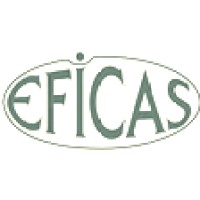 Eficas Danışmanlık ve Yazılım Logo