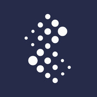 Binary Capital Investment Management Logo