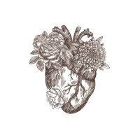 Amparo Fondita Logo