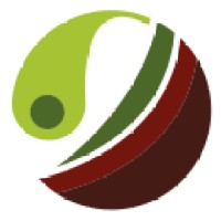 Solum Laboratório Logo