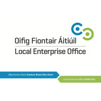 LEO Dublin City Logo