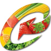 Continvest Ltd Logo