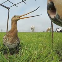 Ruben Smit Productions Logo