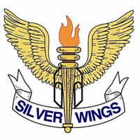Silver Wings Logo