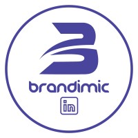 Brandimic Logo