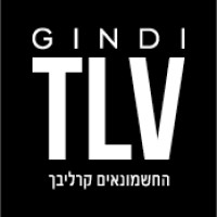 GINDI Logo