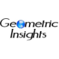 Geometric Insights Logo