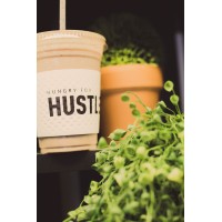 Hustle Smoothie Bar Logo
