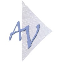 VALLEJO CONSULTORES Logo