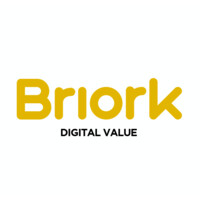 BRIORK Digital Value Logo