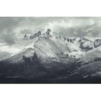 Tibetan fire and water center Logo