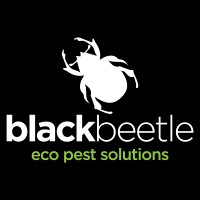 Black Beetle Eco Pest Solutions Logo
