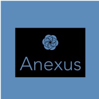Anexus Logo