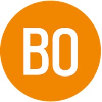 Brain Orchestra GmbH. Die Unternehmensentwickler. Logo