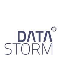 DataStorm Logo