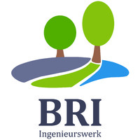 BRI Ingenieurswerk Logo