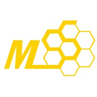 MSSCORPS 汎銓科技 Logo