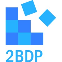 2BDP Consultancy Logo