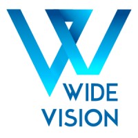 Wide Vision Analytics Logo