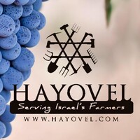 HaYovel Logo