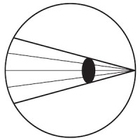 Sightline Arts Logo