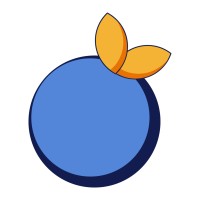 Blue Orange Logo