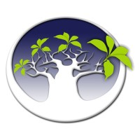 Virtually Clear Logo