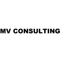 MV Consulting Logo